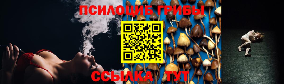 Галлюциногенные грибы прущие грибы Азов
